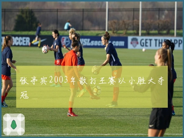 张亭宾2003年散打王赛以小胜大夺冠