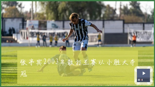 张亭宾2003年散打王赛以小胜大夺冠